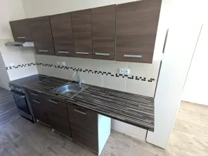 Pronájem bytu 2+1, Ústí nad Labem, Opletalova, 58 m2