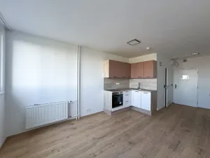 Pronájem bytu 1+kk, Praha - Střížkov, Děčínská, 25 m2