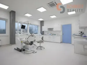 Pronájem ordinace, Břeclav, U Nemocnice, 234 m2