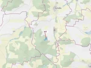 Dražba lesa, Kuřimany, 10437 m2