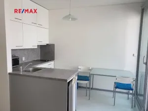 Pronájem bytu 1+kk, Brno, Kopečná, 32 m2