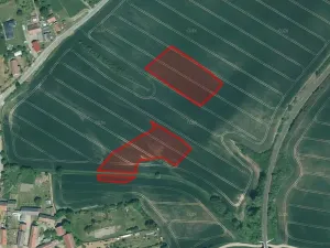 Prodej pole, Mladotice, 11461 m2