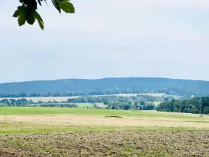 Prodej louky, Herálec, 35197 m2