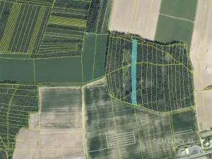 Prodej lesa, Staňkov, 4433 m2