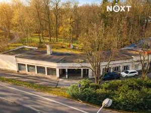 Prodej obchodního prostoru, Orlová, Petra Cingra, 300 m2