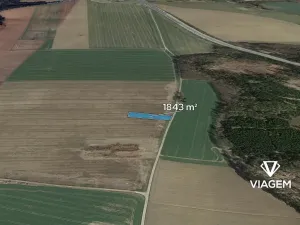 Prodej pole, Soutice, 1843 m2