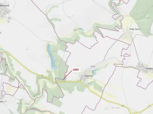 Dražba lesa, Mladoňovice, 1427 m2