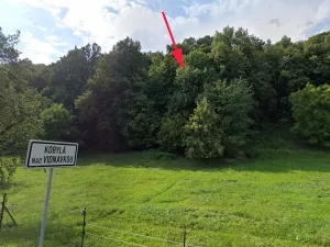 Prodej podílu lesa, Kobylá nad Vidnavkou, 1876 m2