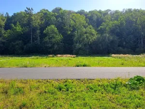 Prodej pozemku pro bydlení, Mohelnice, 995 m2