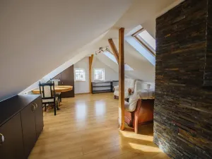 Pronájem bytu 1+kk, Liberec, Křížkovského, 40 m2