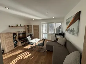 Pronájem bytu 1+kk, Brno, Dřevařská, 30 m2