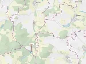 Dražba lesa, Kuřimany, 4499 m2