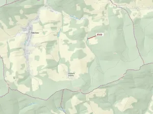 Dražba lesa, Zděchov, 1866 m2