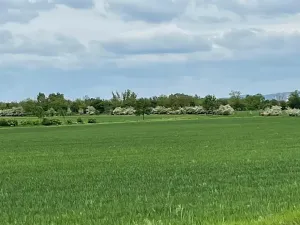 Prodej pole, Brno, 11752 m2