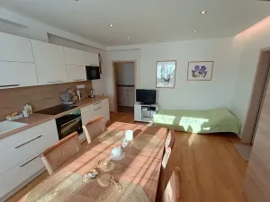 Prodej bytu 2+kk, Trhové Sviny, Za Pilou, 46 m2