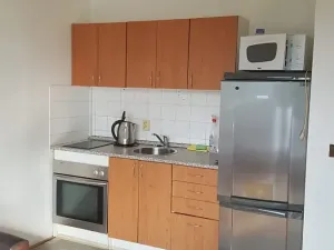 Pronájem bytu 1+kk, Brno, Běloruská, 30 m2