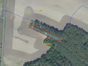 Prodej lesa, Němčice, 1392 m2