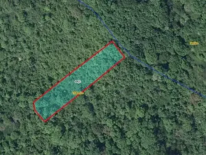 Prodej lesa, Třebenice, 1475 m2