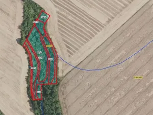 Prodej lesa, Mečeříž, 10300 m2