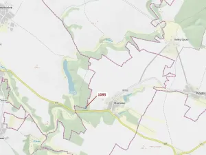 Dražba lesa, Mladoňovice, 1427 m2