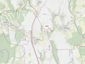 Dražba lesa, Jenišovice, 1872 m2