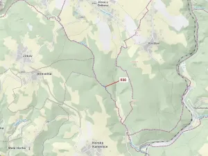 Dražba lesa, Jílové u Držkova, 967 m2