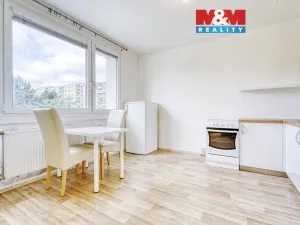 Pronájem bytu 1+1, Plzeň, Manětínská, 39 m2