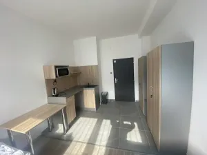 Pronájem ubytování, Dalovice, Botanická, 20 m2