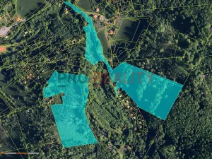 Prodej lesa, Třinec, 102143 m2