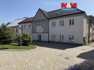 Pronájem obchodního prostoru, Nasavrky, Náměstí, 260 m2