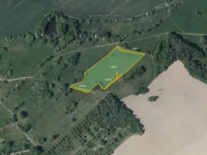 Prodej pole, Hroznatín, 10174 m2