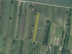 Prodej pole, Brumovice, 5714 m2