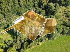 Prodej pozemku pro bydlení, Deštnice, 4068 m2