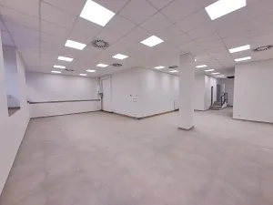 Pronájem obchodního prostoru, Praha - Žižkov, Cimburkova, 357 m2