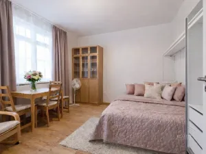 Pronájem bytu 1+1, Praha - Nové Město, Žitná, 26 m2