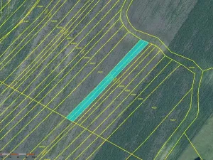 Prodej pole, Moravská Nová Ves, 952 m2