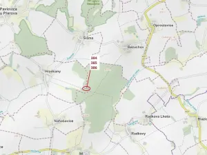 Dražba lesa, Hradčany-Kobeřice, 3483 m2