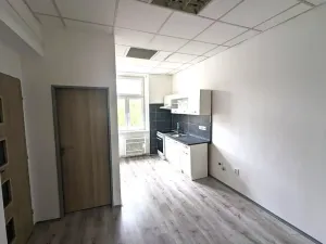 Pronájem bytu 2+kk, Ústí nad Labem, Moskevská, 46 m2