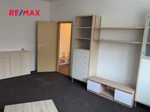 Pronájem bytu 2+1, Brno, Náplavka, 53 m2