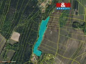 Prodej lesa, Jankovice - Seník, 21459 m2