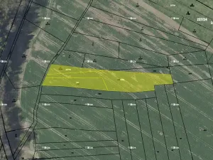 Prodej pole, Černé Voděrady, 5057 m2