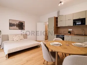 Pronájem bytu 1+kk, Brno, Bratislavská, 34 m2