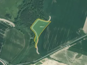 Prodej pole, Bor, 14739 m2