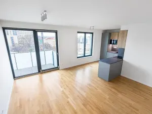 Prodej bytu 2+kk, Praha - Žižkov, U Viktorie, 63 m2