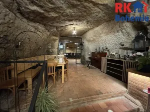 Pronájem restaurace, Mladá Boleslav, Ptácká, 410 m2