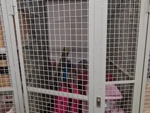 Pronájem - jiné, Praha - Záběhlice, Ve slatinách, 3 m2