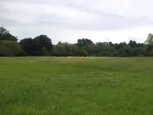 Dražba louky, Česká Lípa, 5581 m2