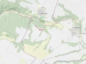 Dražba lesa, Ivančice, 741 m2