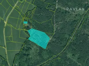 Prodej lesa, Hosín, 32334 m2