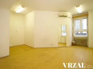 Pronájem ordinace, Plzeň, Francouzská třída, 43 m2